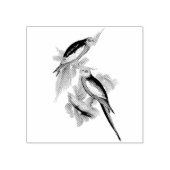 Kaketoe Vogels  illustraties Rubberstempel (Afrduk)