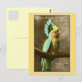  kaketoe vriend verjaardag foto briefkaart (Voorkant / Achterkant)