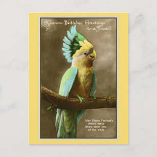 kaketoe vriend verjaardag foto briefkaart