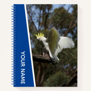Kaketoen Australië Papegaai Vogel Vleugels, Blauw Notitieboek