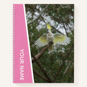 Kaketoen Australië Papegaai Vogel Vleugels, Roze Notitieboek