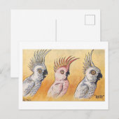 Kaketoes, Louis Wain, Briefkaart (Voorkant / Achterkant)