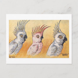 Kaketoes, Louis Wain, Briefkaart