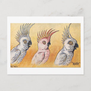 Kaketoes, Louis Wain, Briefkaart