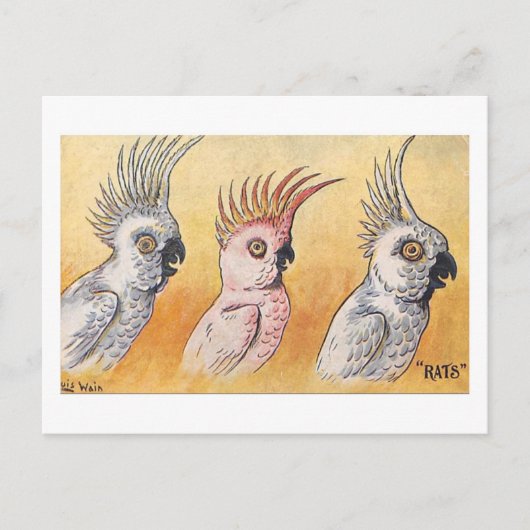 Kaketoes, Louis Wain, Briefkaart (Voorkant)