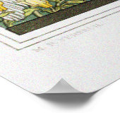  kaketoes, magnolia en witte muizen poster (Hoek)