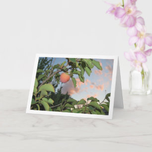 Kaki aan Boom, Roze Lucht Portret Kaart