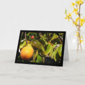 Kaki Fruit in Boom Kaart (Gele Bloem)