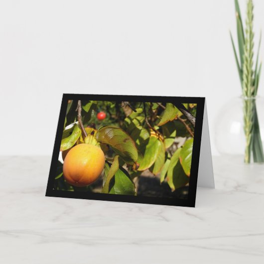 Kaki Fruit in Boom Kaart (Voorkant)