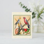 kakkerbakkers en katkatoeno briefkaart (Staand voorkant)