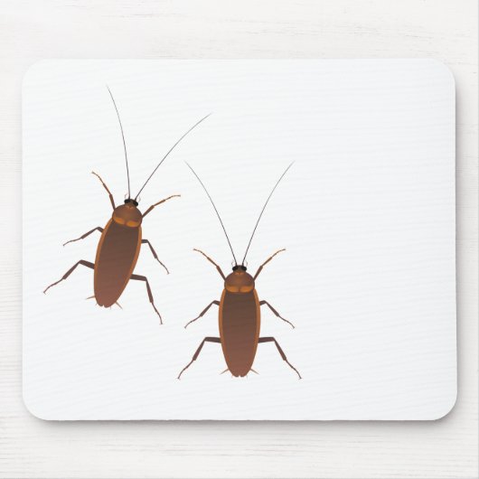 Kakkerlak Insect Muismat (Voorkant)