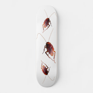 Kakkerlak Persoonlijk Skateboard