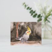 kakkervogelschilderij briefkaart (Staand voorkant)