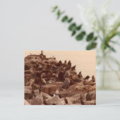 kakofobie van zee briefkaart (Staand voorkant)