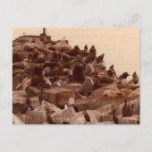 kakofobie van zee briefkaart (Voorkant)