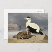 Kaksi Haahkaa van Ferdinand von Wright Briefkaart (Voorkant / Achterkant)