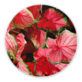 KALADIUM-/WAVYLEN/PINK-, GROENE- EN RODE KLEUREN KERAMISCHE KNOP (Voorkant)