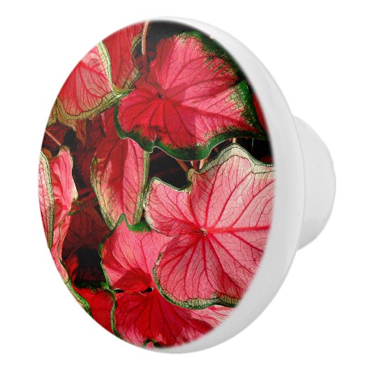 KALADIUM-/WAVYLEN/PINK-, GROENE- EN RODE KLEUREN KERAMISCHE KNOP (Rechts)