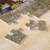 Kalahari Desert Lions Africa Male Vrouw Legpuzzel (Zijkant)