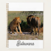 Kalahari Desert Lions Africa Male Vrouw Planner (Voorkant)
