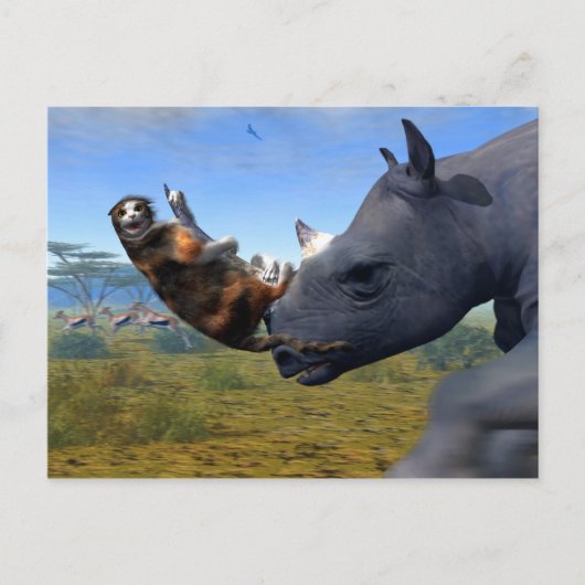 Kalahari Express Briefkaart (Voorkant)