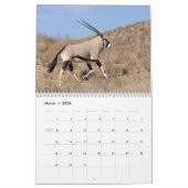 Kalahari. Kalenderzoogdieren van Kgalagadi Kalender (Mar 2026)