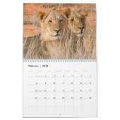 Kalahari. Kalenderzoogdieren van Kgalagadi Kalender (Feb 2026)