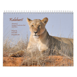 Kalahari. Kalenderzoogdieren van Kgalagadi Kalender