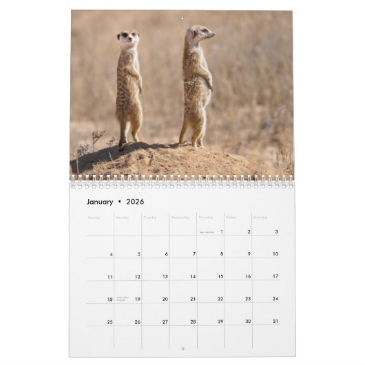 Kalahari. Kalenderzoogdieren van Kgalagadi Kalender (Jan 2026)