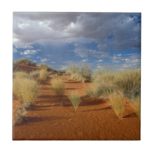 Kalahari Woestijn Scene, Kgalagadi Transfrontier 2 Tegeltje