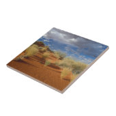 Kalahari Woestijn Scene, Kgalagadi Transfrontier 2 Tegeltje (Zijkant)