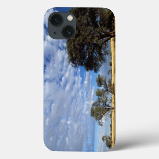 Kalahari woestijn scène, Kgalagadi Transfrontier Case-Mate iPhone Case (Achterkant)