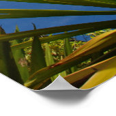 Kalalau Cactus Canvas Print (Hoek)