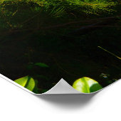 Kalalau Trail Poster (Hoek)