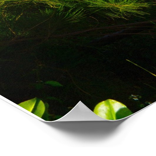 Kalalau Trail Poster (Hoek)