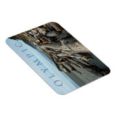 Kalaloch Beach Driftwood, Nationaal Park Magneet (Rechterzijde)