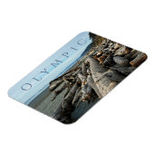 Kalaloch Beach Driftwood, Nationaal Park Magneet (Linkerzijde)