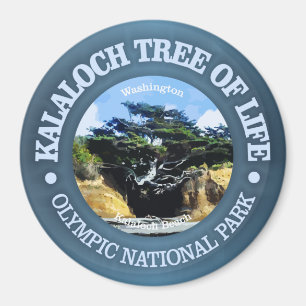 Kalaloch Tree of Life Magneet