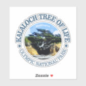 Kalaloch Tree of Life Sticker (Vel)