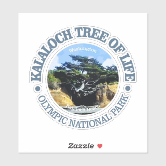 Kalaloch Tree of Life Sticker (Vel)