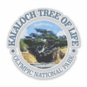 Kalaloch Tree of Life Sticker (Voorkant)