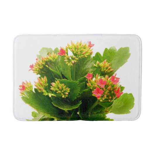 Kalanchoe blossfeldiana badmat (Voorkant)