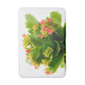 Kalanchoe blossfeldiana badmat (Voorkant Verticaal)