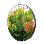 Kalanchoe blossfeldiana dartbord (Voorkant Rechts)