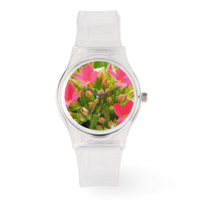 Kalanchoe blossfeldiana horloge (Voorkant)