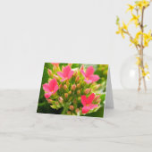 Kalanchoe blossfeldiana kaart (Gele Bloem)