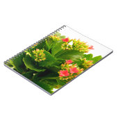 Kalanchoe blossfeldiana notitieboek (Linkerzijde)