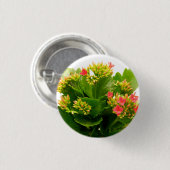 Kalanchoe blossfeldiana ronde button 3,2 cm (Voorkant /achterkant)
