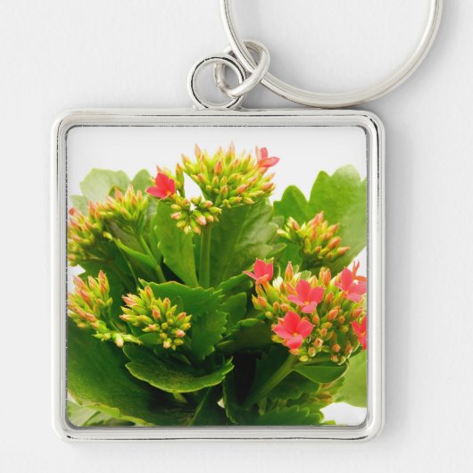 Kalanchoe blossfeldiana sleutelhanger (Voorkant)