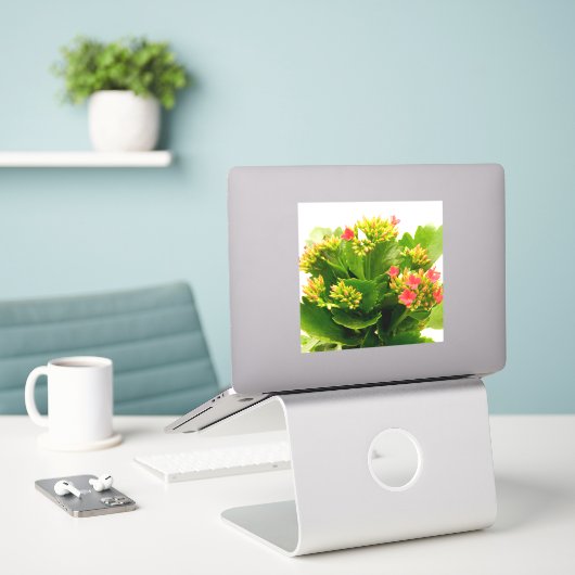 Kalanchoe blossfeldiana sticker (Laptop op bureau)